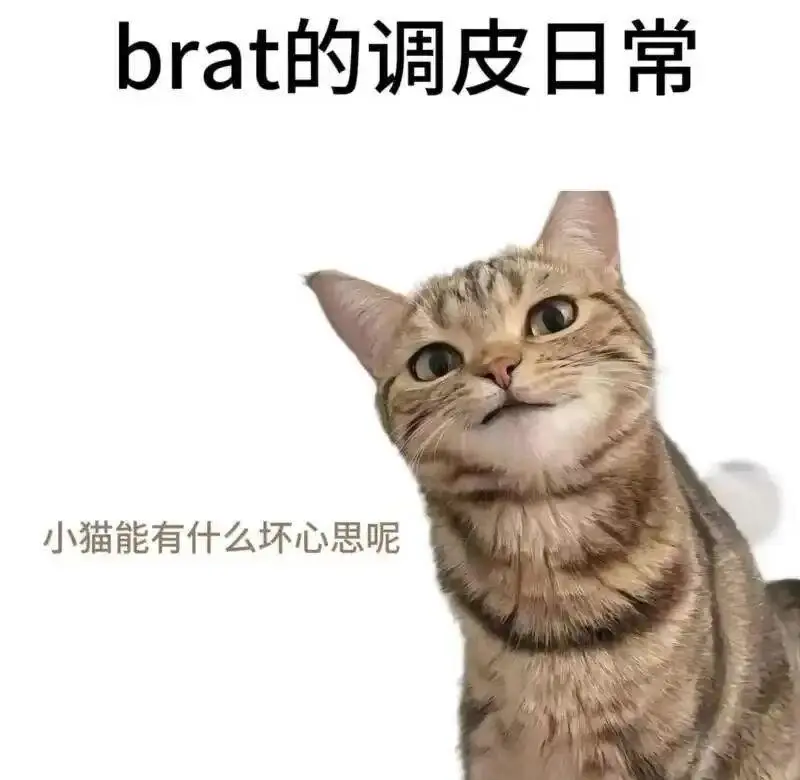 西檬之家DS关系是什么? 一