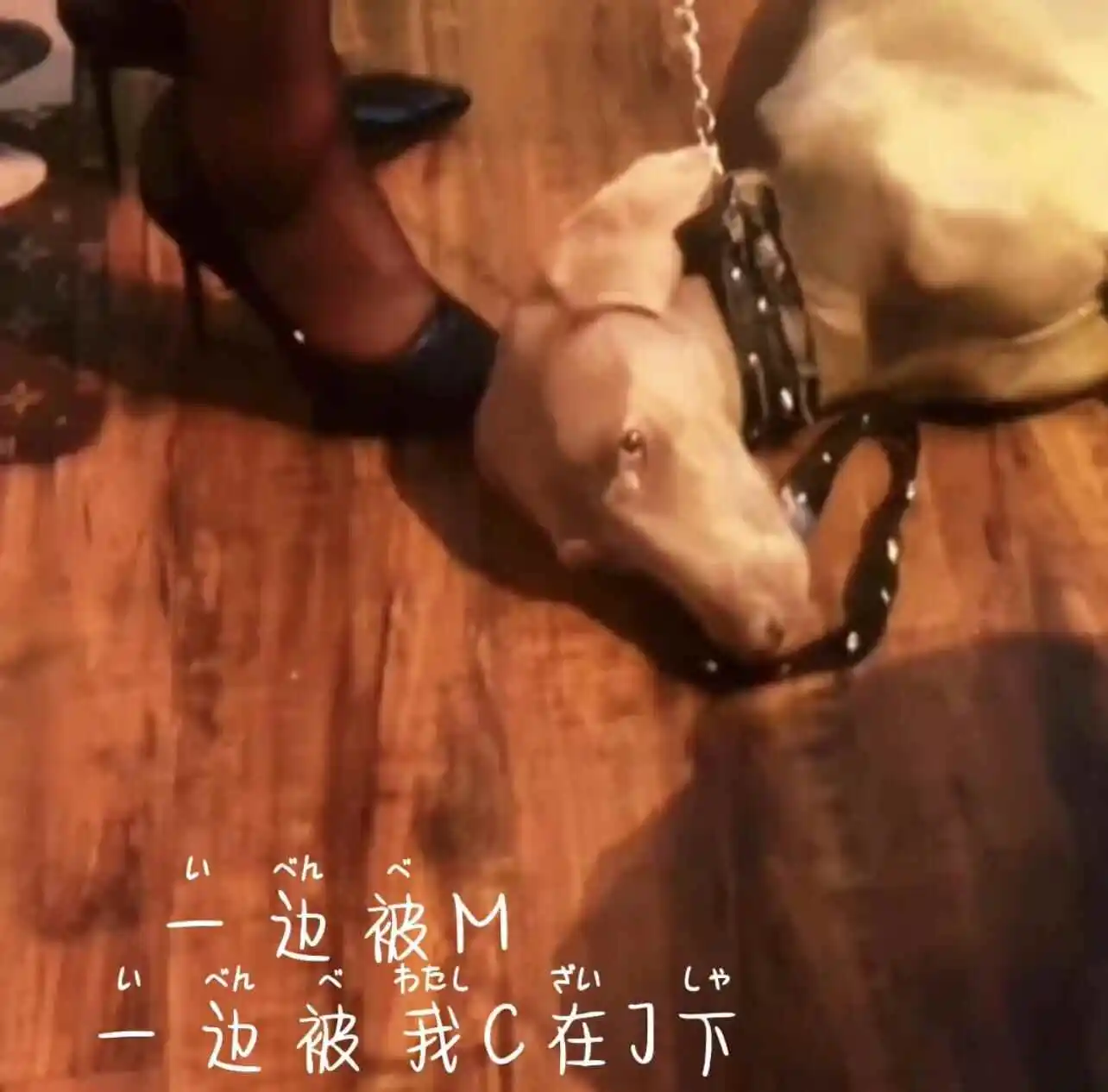 西檬之家CD是指什么?字母圈新人CD变装入门指南 一