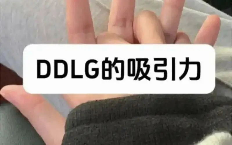 西檬之家字母圈新人入圈指南 一