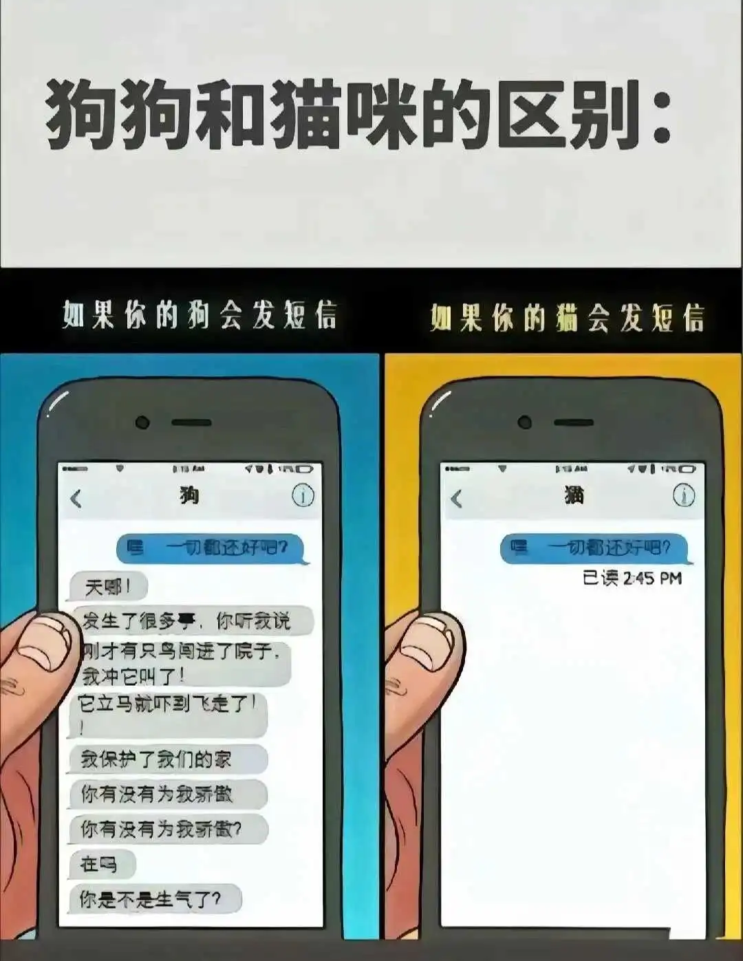 西檬之家sm亚文化入圈指南 一