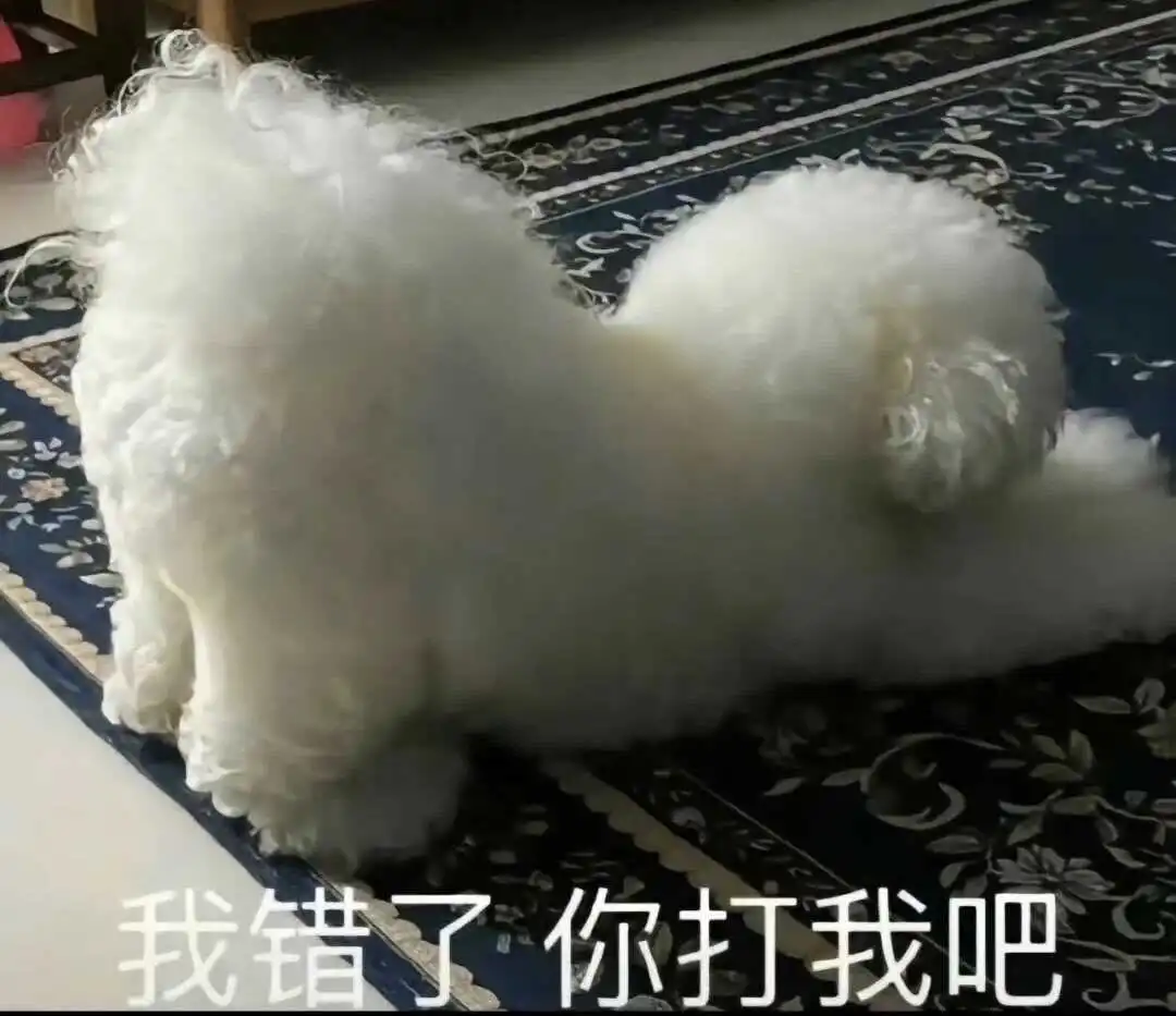 西檬之家BDSM入门指南 一