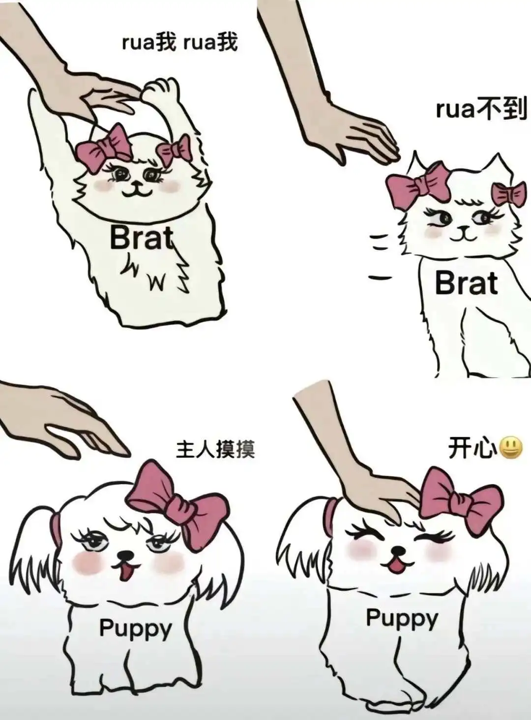 西檬之家字母圈aftercare是什么意思? 一
