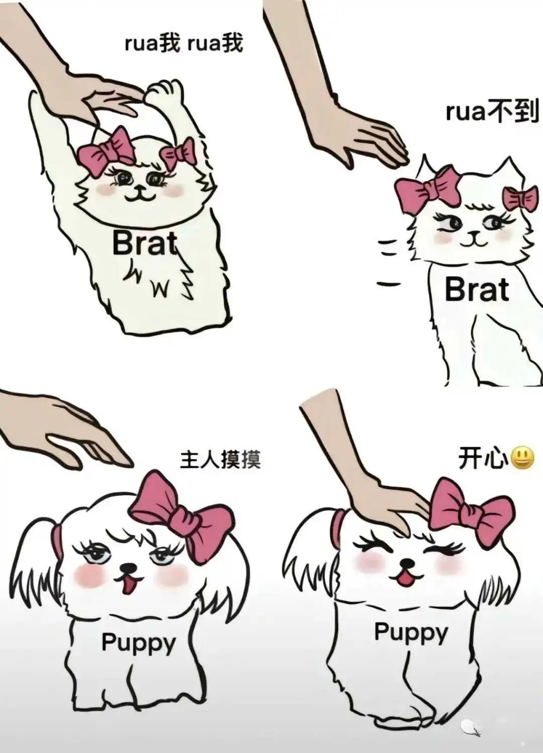 西檬之家如何判断s属性 一