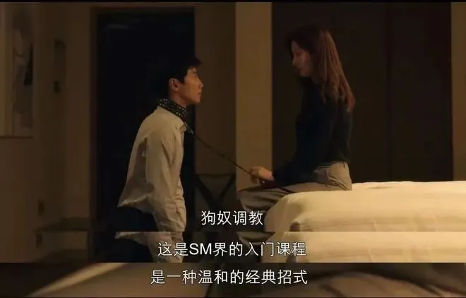 西檬之家字母圈S倾向是什么意思? 一