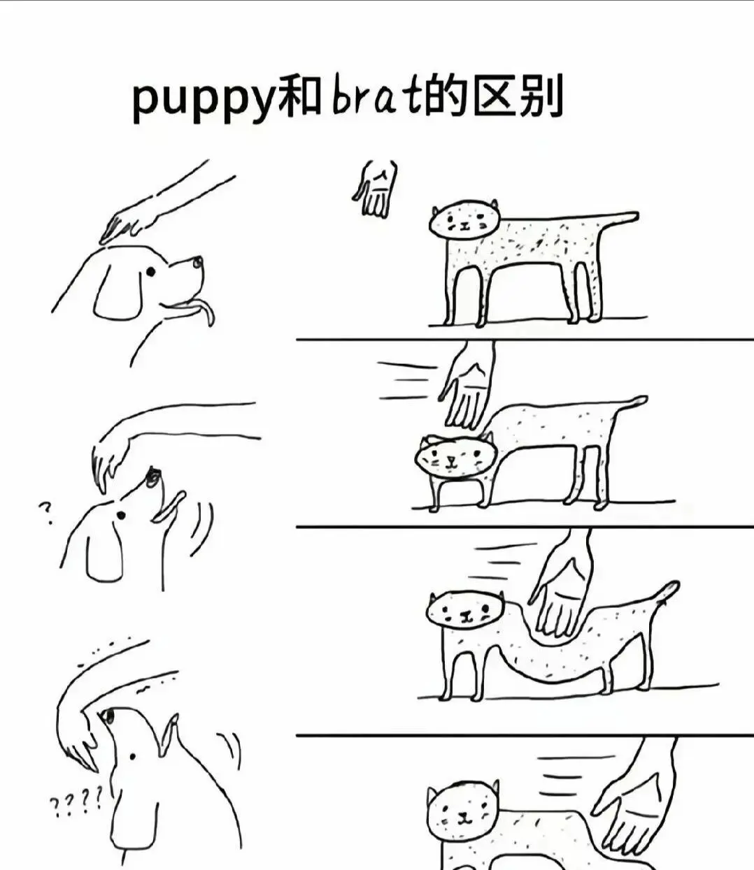 西檬之家BDSM入圈怎么玩?字母圈新人指南 一
