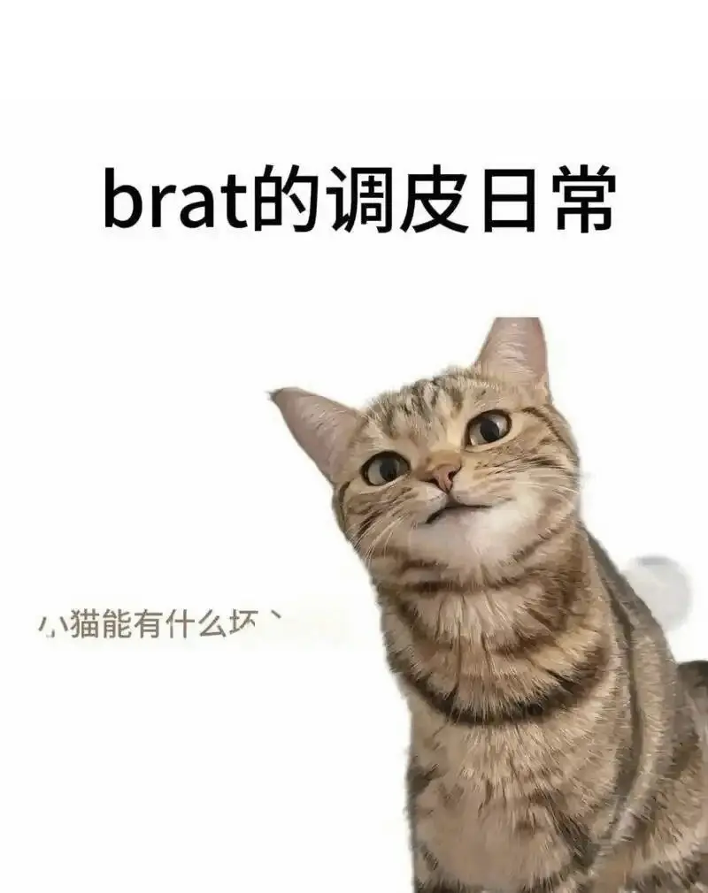 西檬之家DS关系入门指南 一