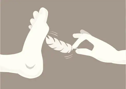 西檬之家恋物癖入门指南 一